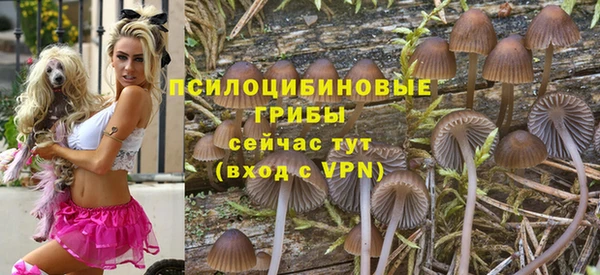 mix Медногорск