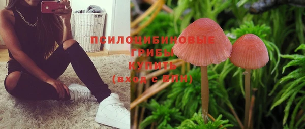 mix Медногорск